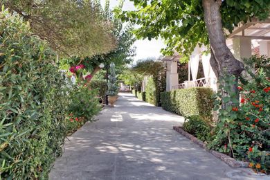 Ikies Lesvos - Image 6