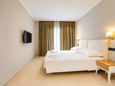 Classic Double or Twin Room