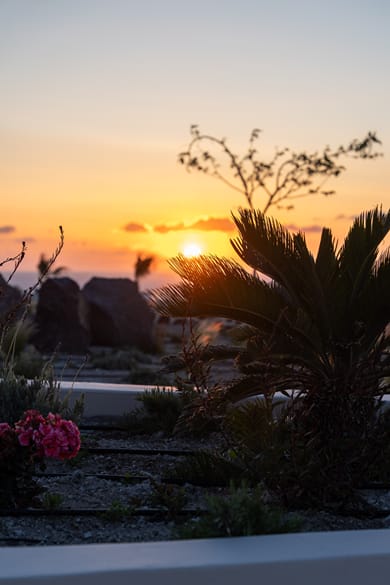 Illusion Suites - Image 7