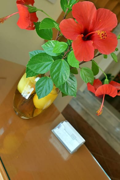 Iolkos Hotel Apartments Chania - Image 5