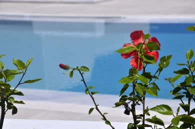 Ionathan Koufonisia Suites - Image 5