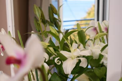 Ipsos Di Mare Hotel – Adults Only Hotel - Image 5