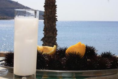 Itilo Traditional Hotel - Image 5