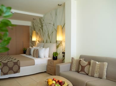 Deluxe Room with Spa Bath Garden View - 30m²