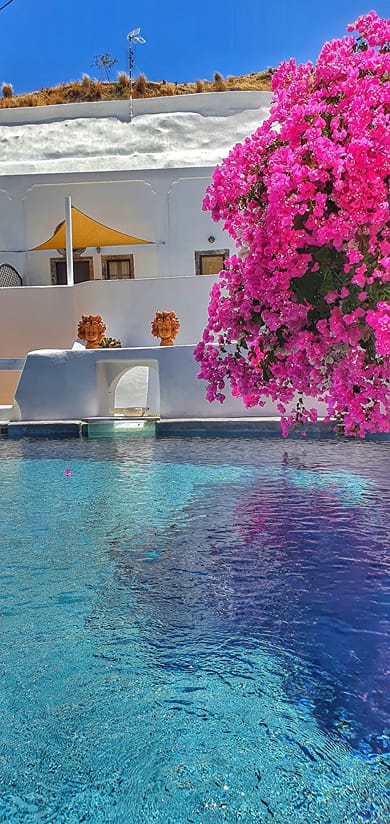 Kalitsi Canaves - Image 4