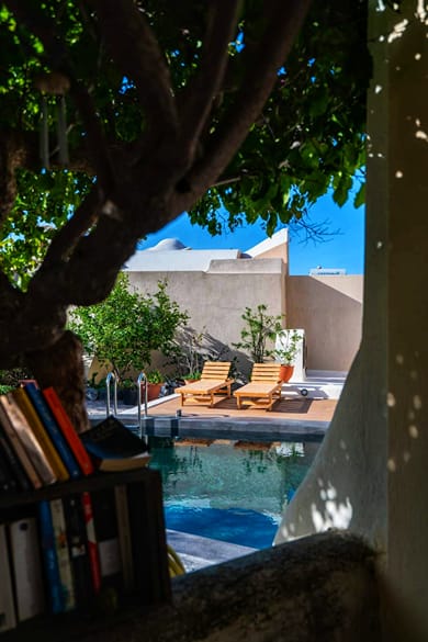 Kalitsi Canaves - Image 7