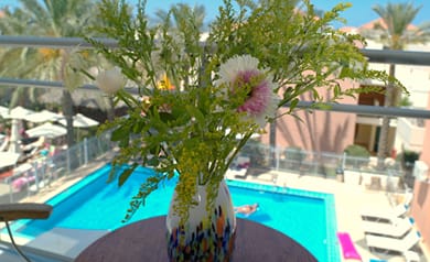 Kallitsakis Beach Apartments - Image 4
