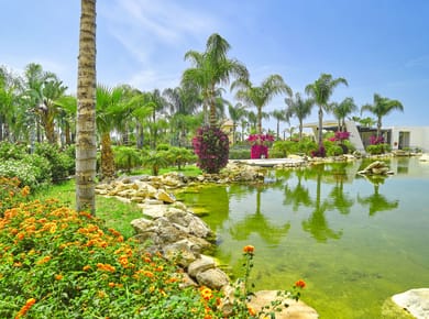 Kanika Olympic Lagoon Resort Agia Napa - Image 6