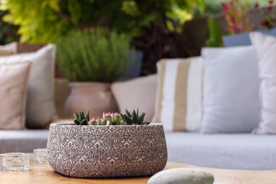 Villa Kapella & Apartments Corfu - Image 7