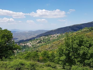 Karaiskos Farm - Image 2