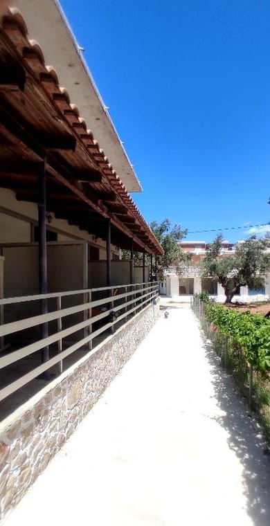 Karavaki Apartments Zakynthos - Image 5