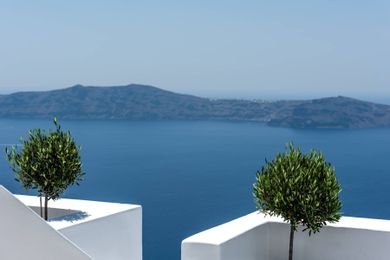 Kasimatis by La Perla - Image 7