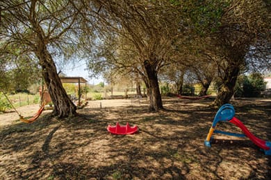 Fiore Azzurro - Image 5