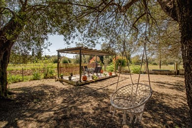 Fiore Azzurro - Image 7