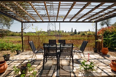 Fiore Azzurro - Image 3