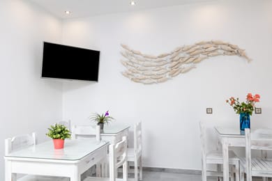 Katerina Roza Studios - Image 7