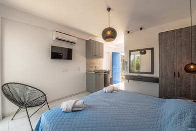 Studio Double Room with Terrace