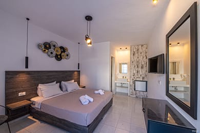 Double Room with Terrace