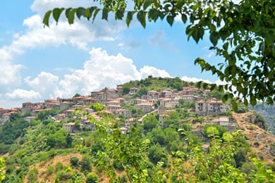 Xenonas Kaza - Image 2