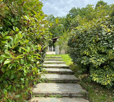 Kedros Halkidiki - Image 3