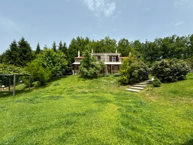 Kedros Halkidiki - Image 6