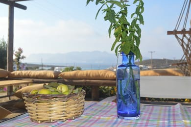 Kimolia Gi - Image 4