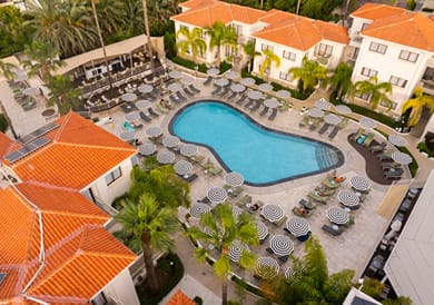 King Jason Paphos – Designed for adults - Image 6