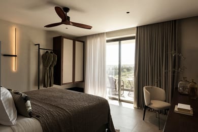 Deluxe Suite Mountain View