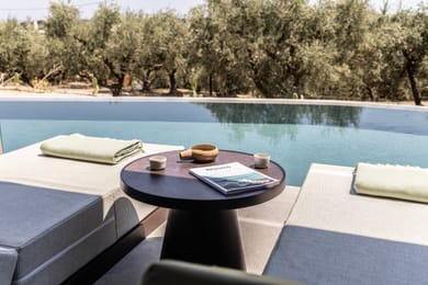 Deluxe Swim-up Suite