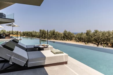 Deluxe Swim-up Suite