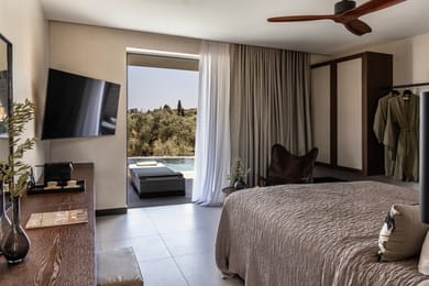 Deluxe Swim-up Suite