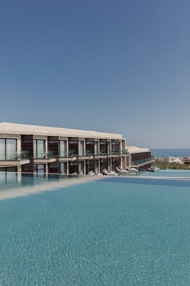 King Jason Zante – Designed for Adults - Image 7