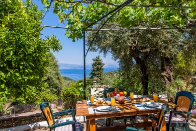 Ipsos Panoramic View