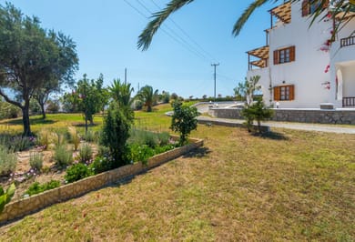 Konstantinos - Image 7