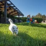 Kookis Village Zakynthos - Image 7