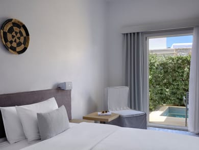 Double Room with Plunge Pool