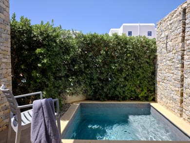 Double Room with Plunge Pool