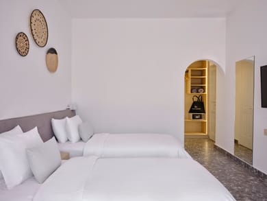 Double Room with Plunge Pool