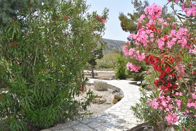 Kostantakis Winery & Residence - Image 7