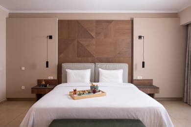 Royal Suite with Sea View and Private Pool (70 m²)