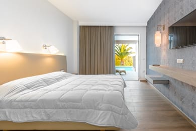 Deluxe Swim up Double Room