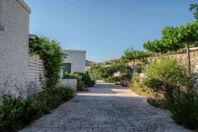 Kriolithos Houses - Image 5
