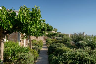 Kriolithos Houses - Image 4