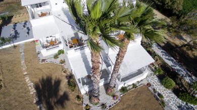 Ktima Bianco Naxos - Image 2