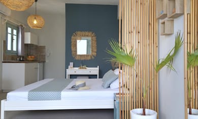 Studio with Pool view