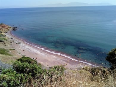 Kythira Golden Sun - Image 4