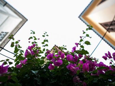 Kyveli Suites Nafplion - Image 6