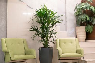 Ladadika Design Thessaloniki - Image 6