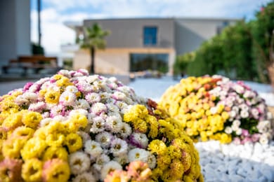 Lagaria Hotel Asprovalta *** - Image 3