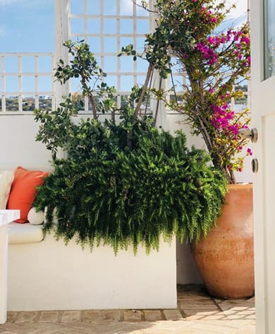 La Maison Kalogera Mykonos Town Hotel - Image 2